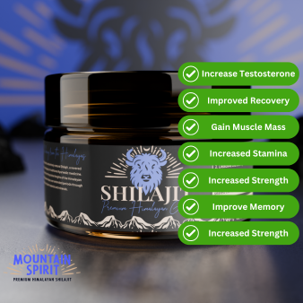 Pure Shilajit Resin